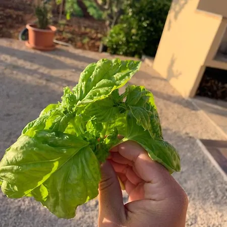 Holiday home Giardino Verderame Santa Maria al Bagno